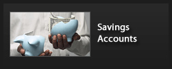 Savings Accounts